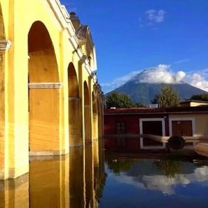 Meet your Posher, Lara